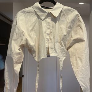 Lioness collared crop top